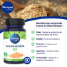 Complément alimentaire Levure de bière Bio Steripan bienfaits