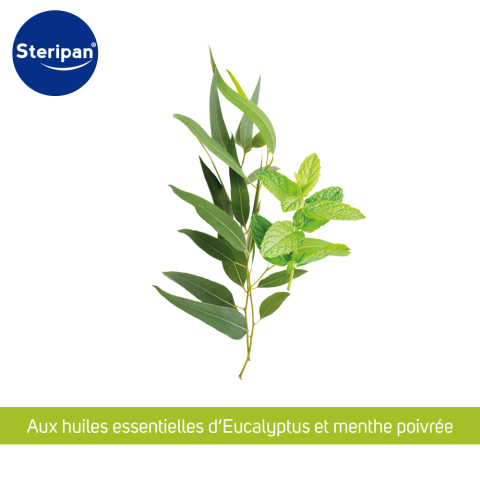 spray nasal aux huiles essentielles d'eucalytpus et de menthe poivrée