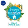 Synergie Purifiante pour Diffusion Steripan un air frais et sain