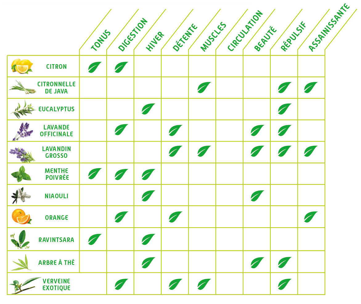  Huiles essentielles (Guide visuel: Le guide aroma