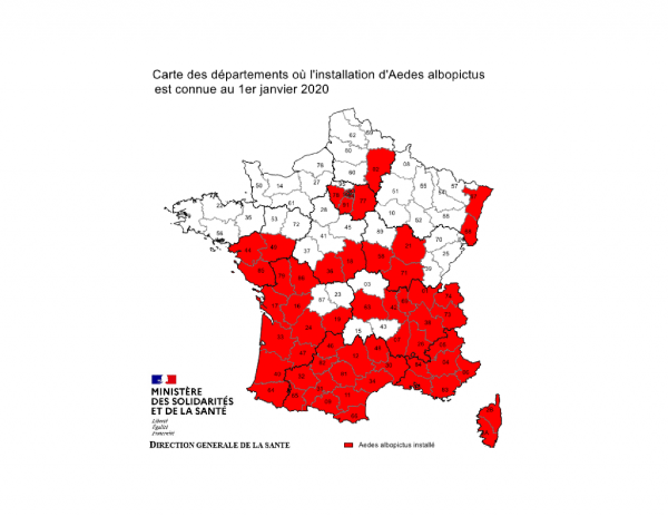 carte des moustiques France