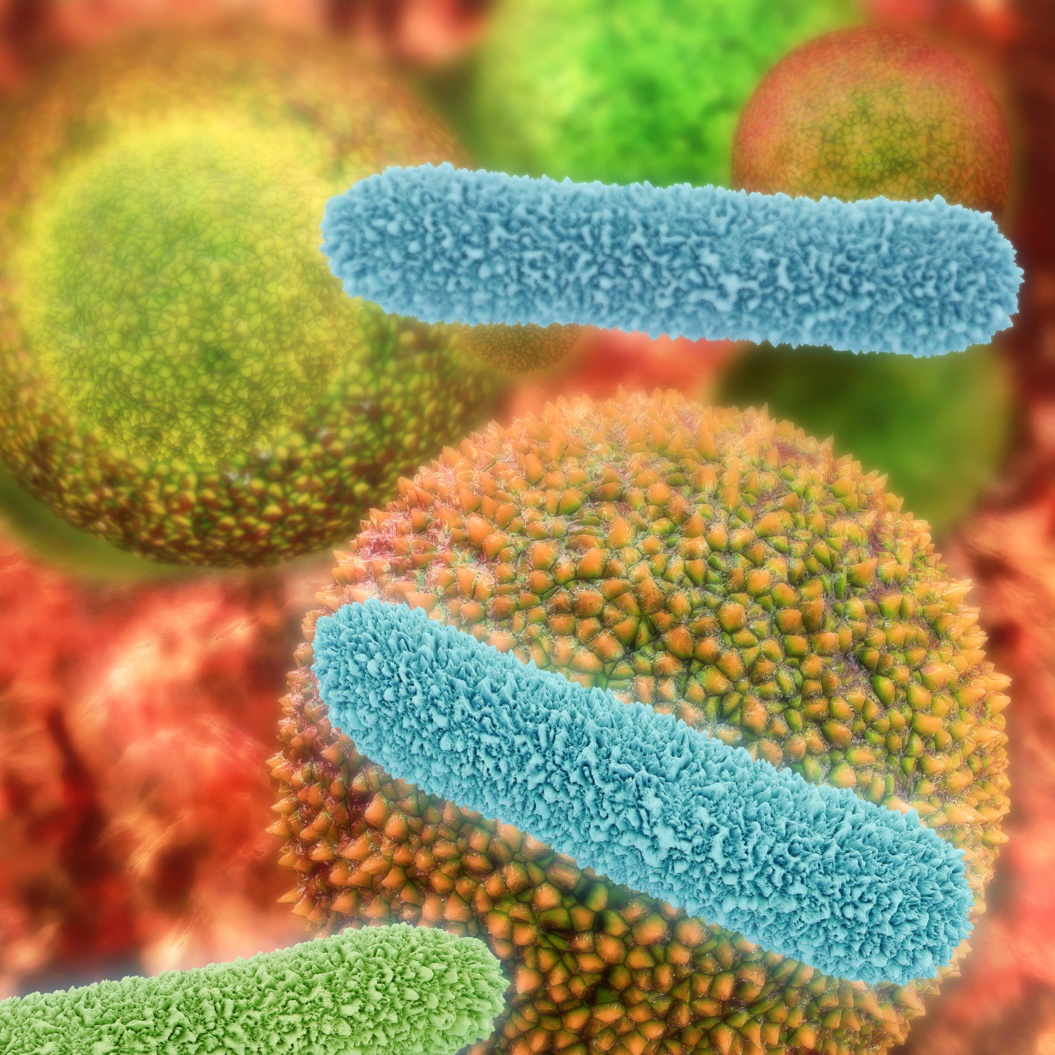 Virus et bactéries, quelles différences ?